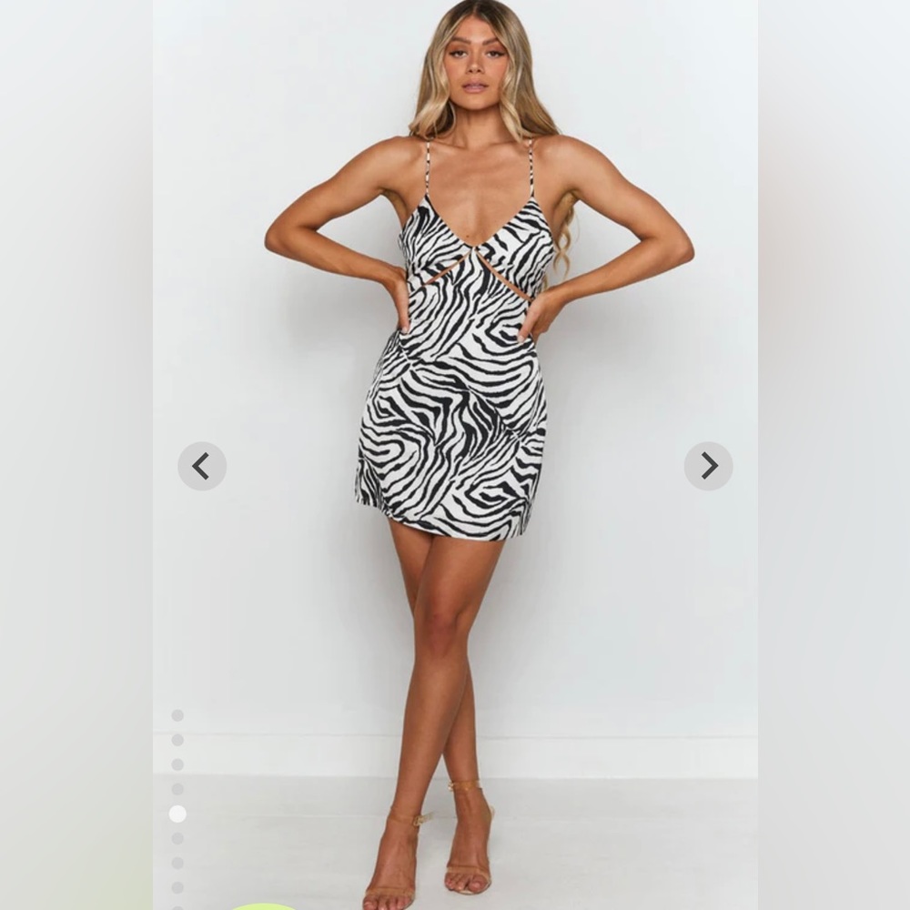 Beginning Boutique Sylvester Mini Dress Zebra